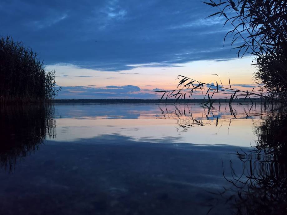 Lacul Cuciurgan - Birdwatching în Dnestrovsc (foto 3)