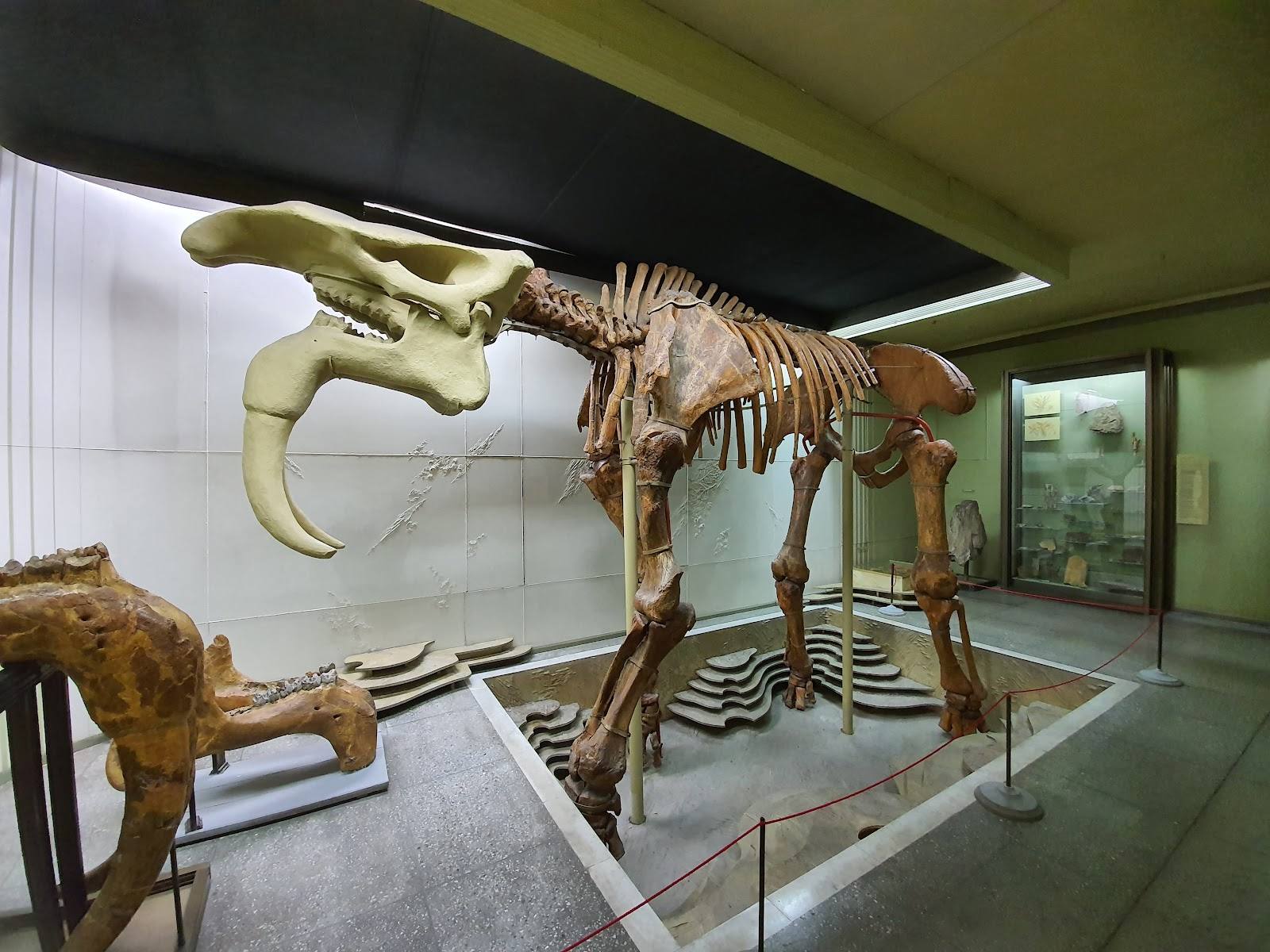 Muzeul Național de Etnografie și Istorie Naturală - Ethnographic museum in Centru (photo 2)