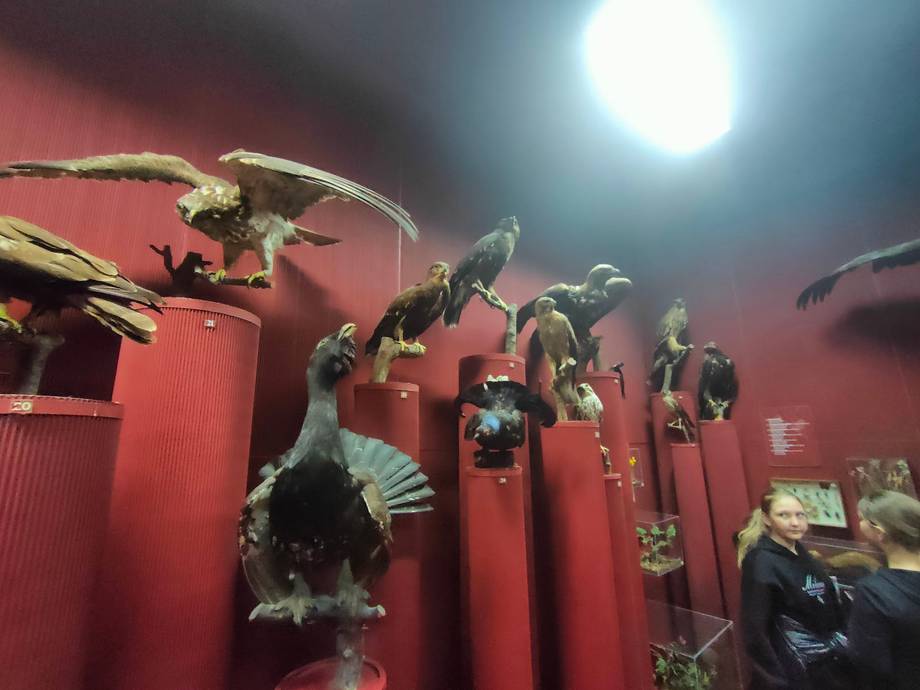 National Museum of Ethnography and Natural History - Ethnographic museum in Centru (photo 5)