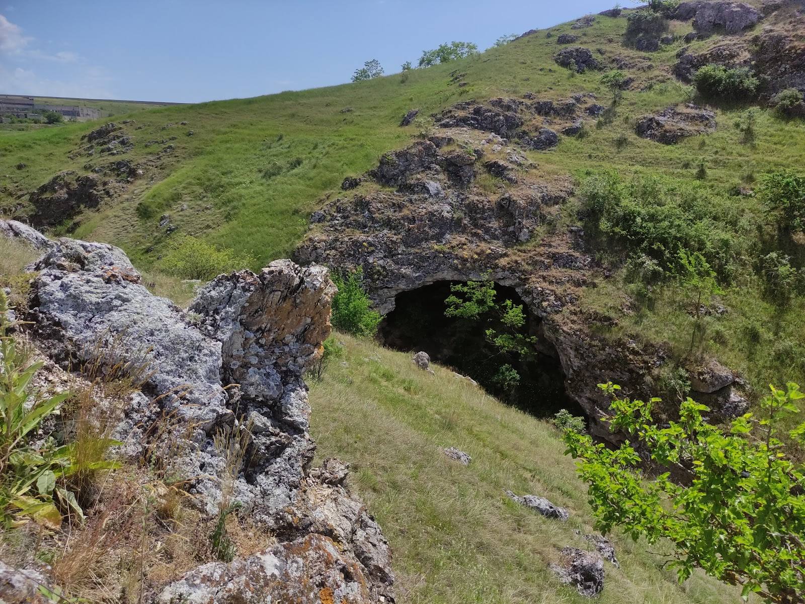 Natural cave entrance in verdant hillside with limestone formations