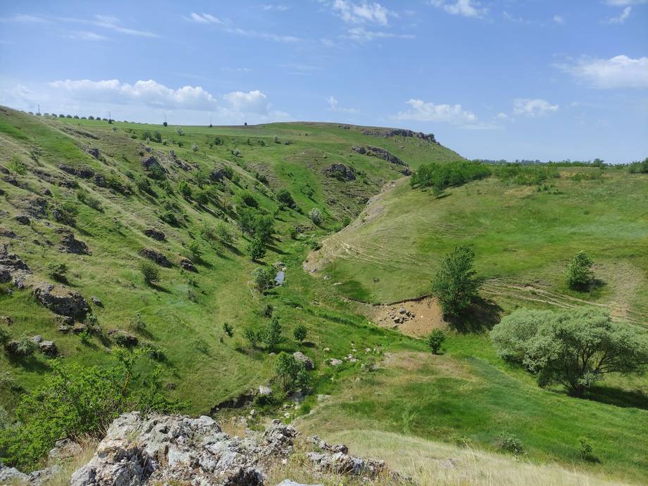 Lush rolling green hills and valley landscape in Moldova countryside