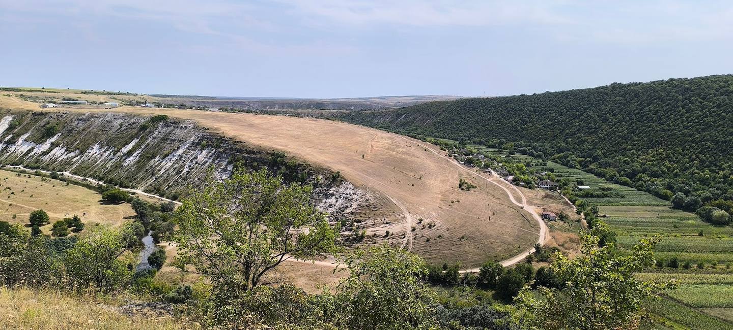 Rolling vineyard landscape with distinctive limestone plateau and valley terrain