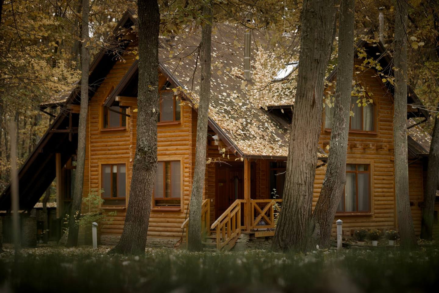 Wooden cabin nestled among tall trees with welcoming porch entrance