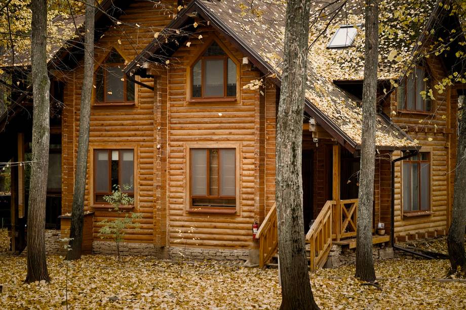Wooden lodge buildings nestled among tall trees in autumn setting