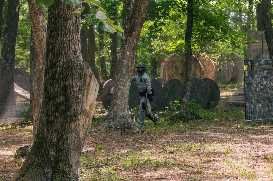 Orthodox graveyard with wooden crosses among old oak trees