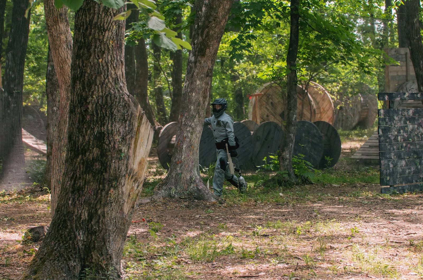 Orthodox graveyard with wooden crosses among old oak trees