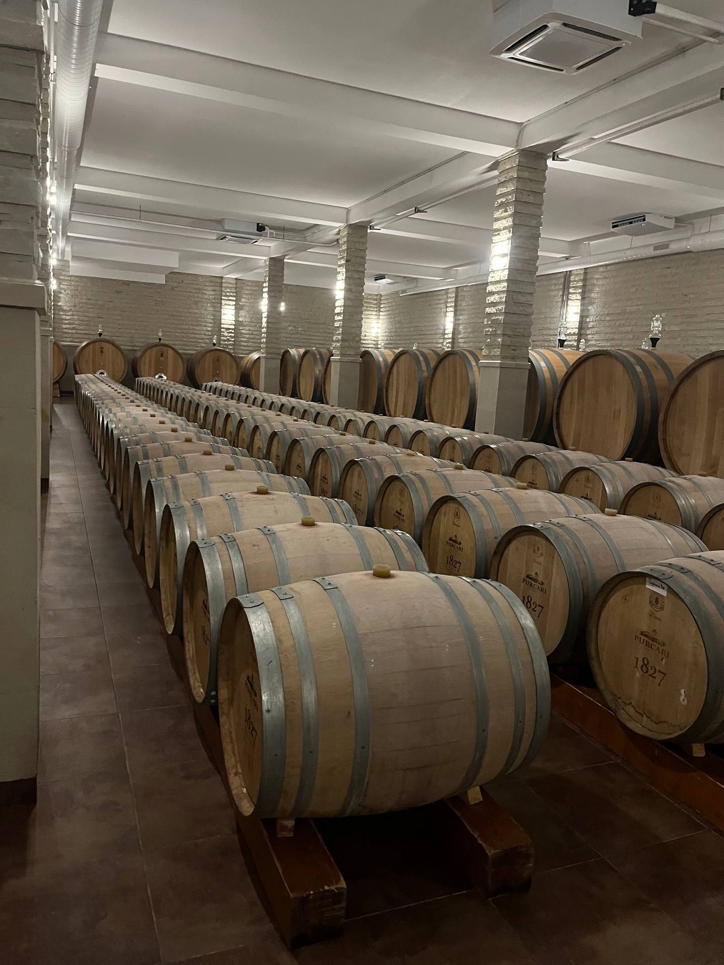 Wine cellar with rows of oak barrels under modern lighting