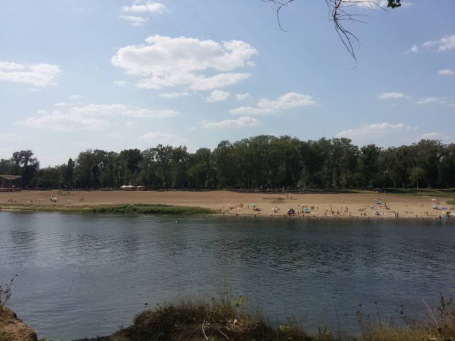 Riverbank landscape with natural vegetation and water view