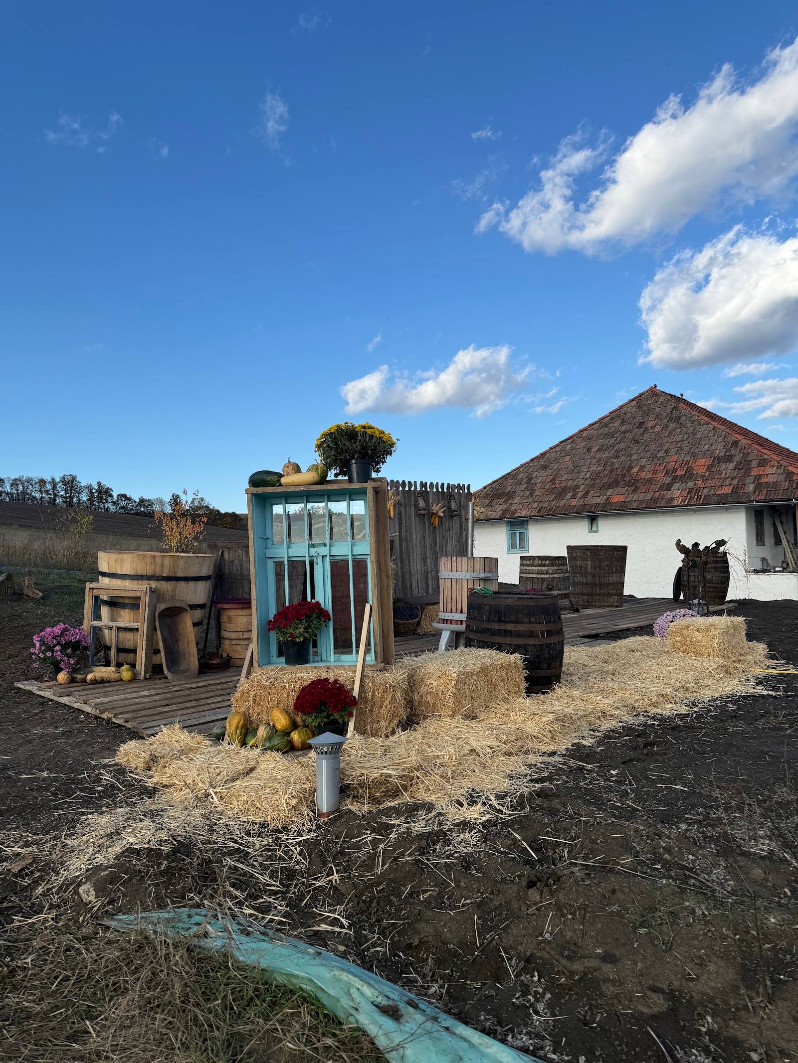 Winery grounds with rustic barn buildings, decorative installations and vineyard setting