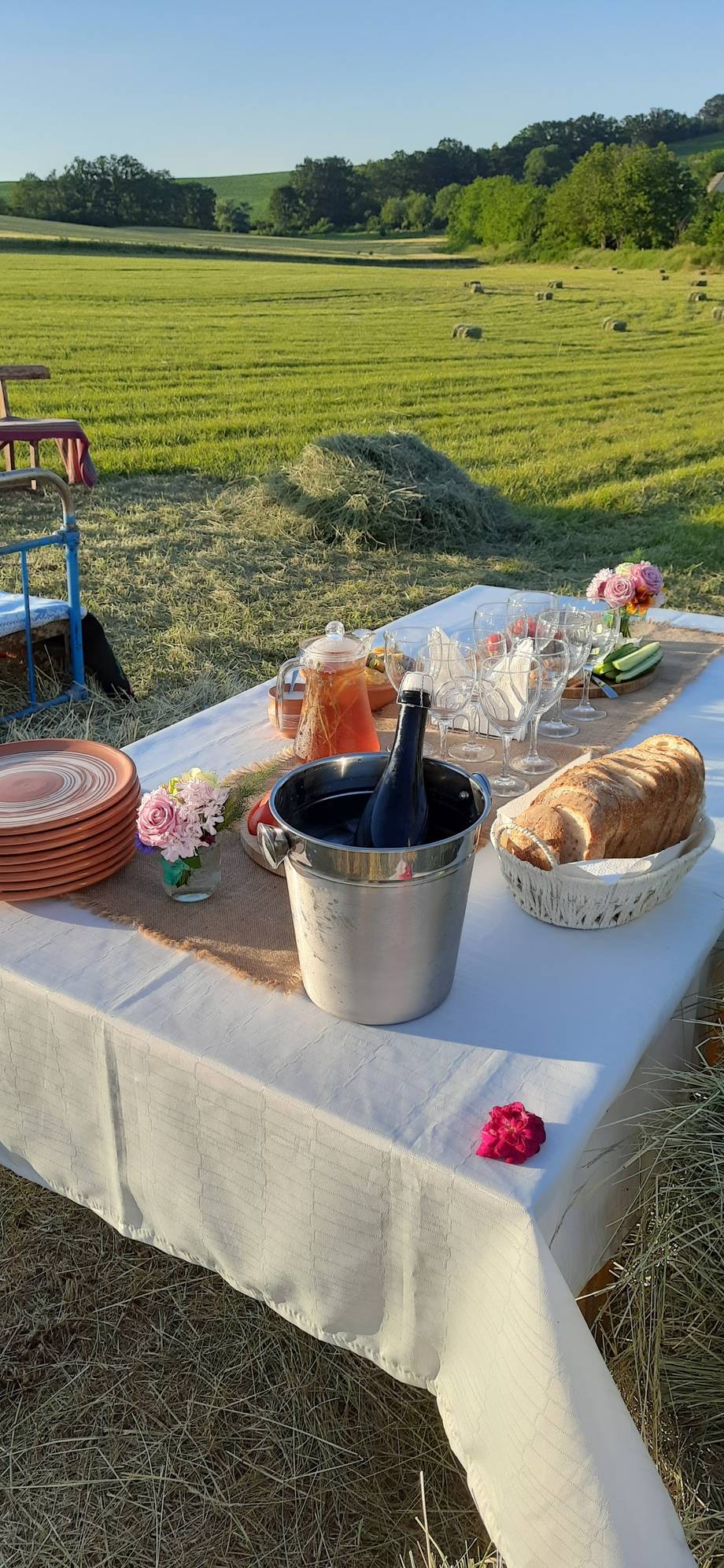 Outdoor vineyard picnic setup with wine service and rolling pastoral landscape