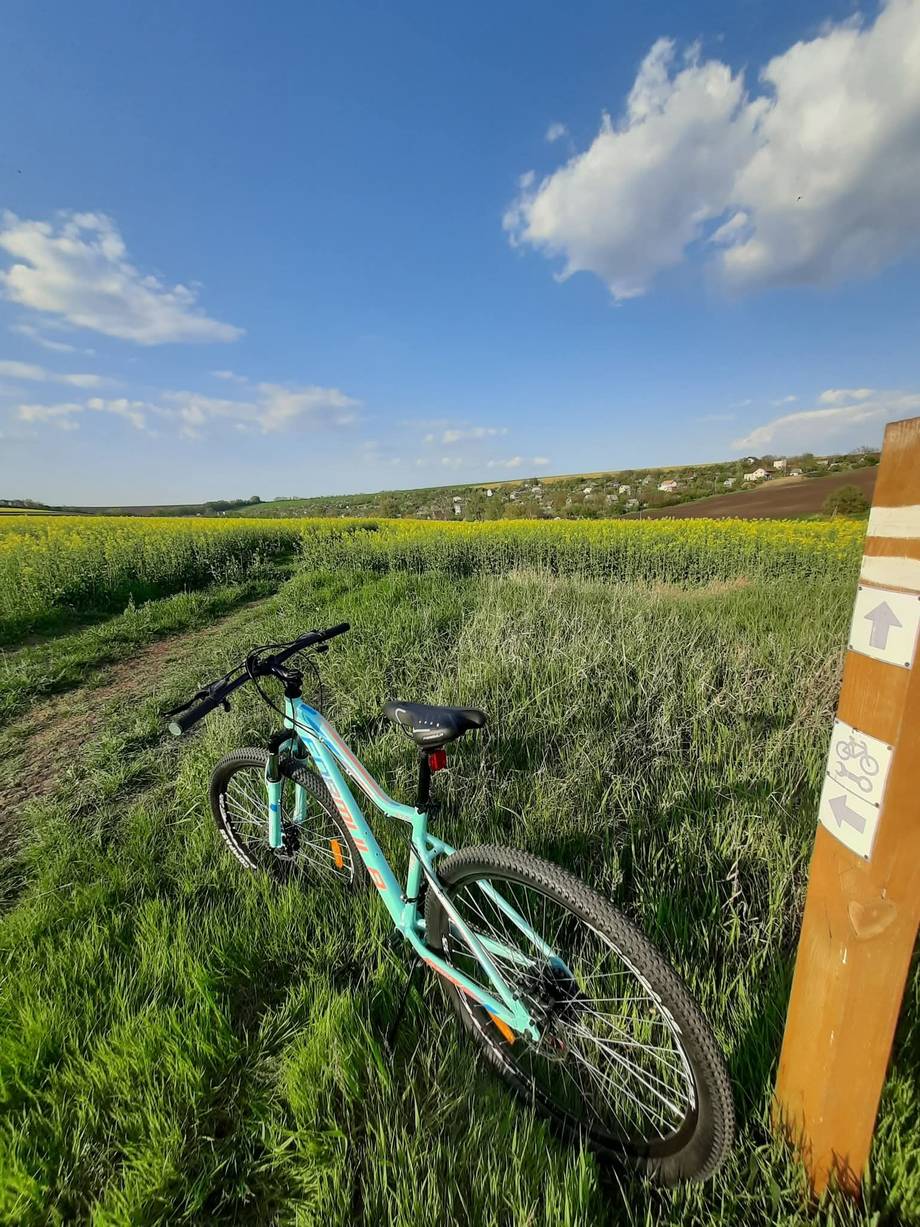 Bicycle parked on scenic rural trail with countryside vista and village in distance