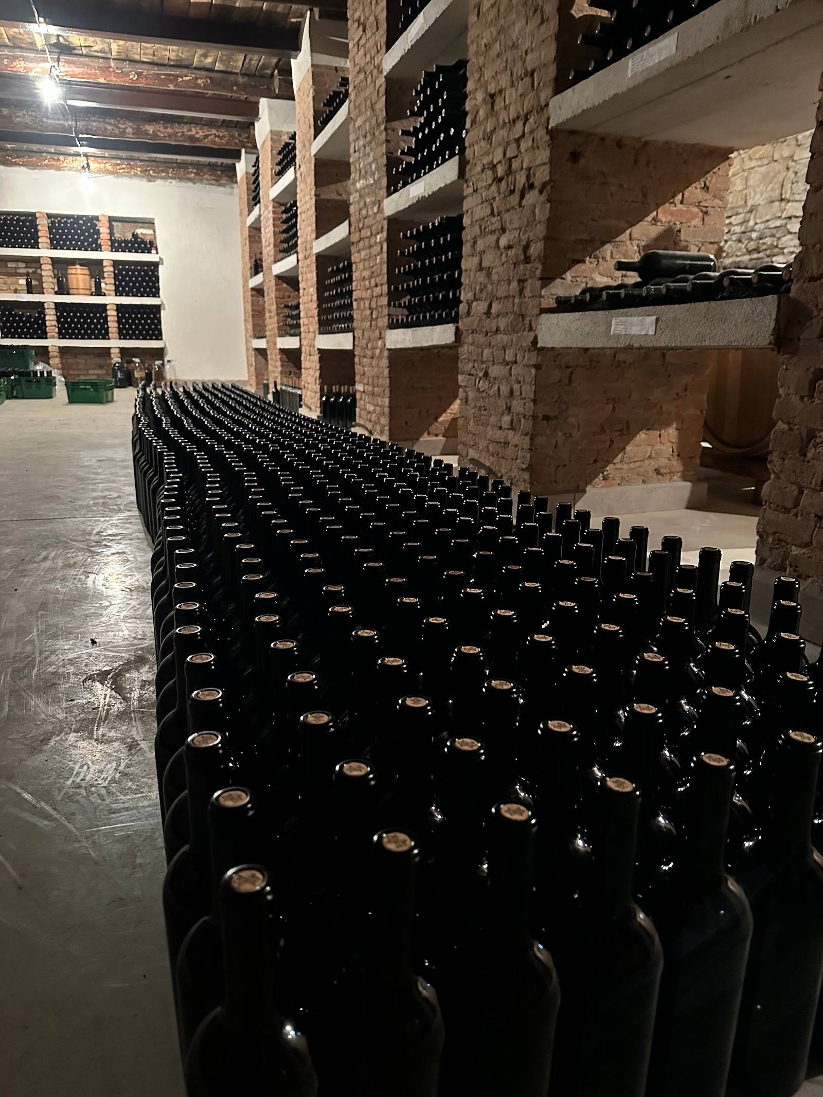 Wine cellar with rows of dark bottles and exposed brick storage walls