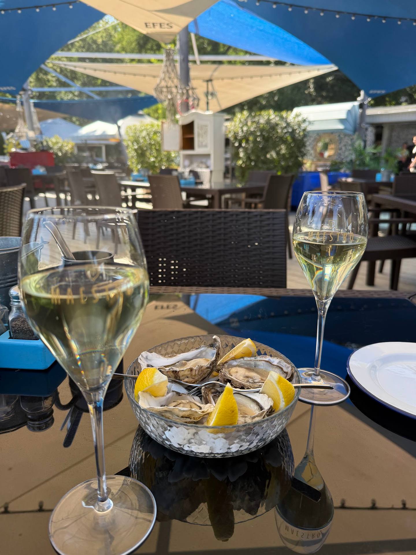 White wine and fresh oysters on a shaded terrace with blue umbrellas and comfortable seating
