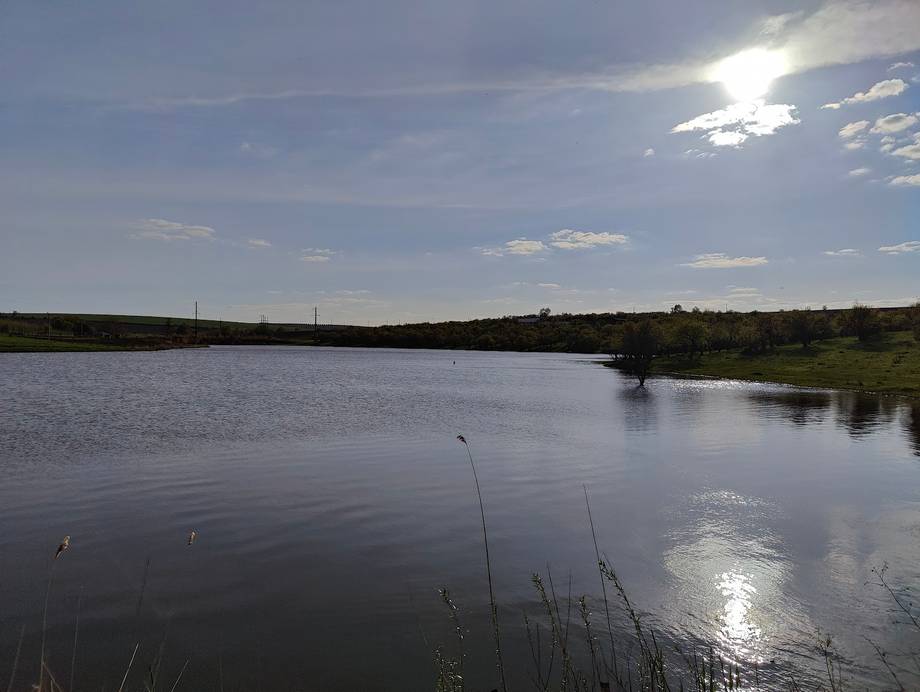 Fishing lake with reeds and open water under cloudy sky