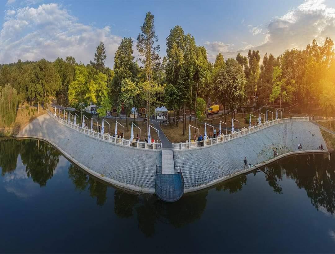 Aerial view of white curved pedestrian bridge spanning river with pine forest backdrop and golden hour light