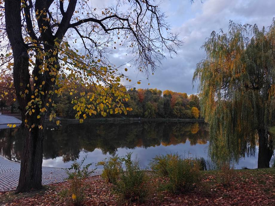 Autumn riverside landscape with birch and willow trees reflecting in calm water