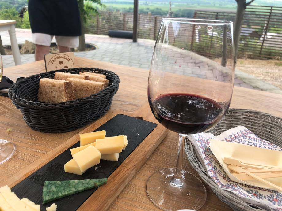 Wine and cheese tasting setup with vineyard views on a terrace