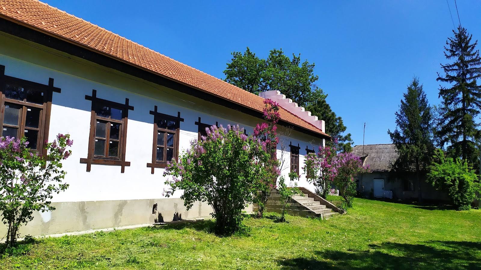 Muzeul-Conacul Balioz - History museum in Ivancea (photo 2)