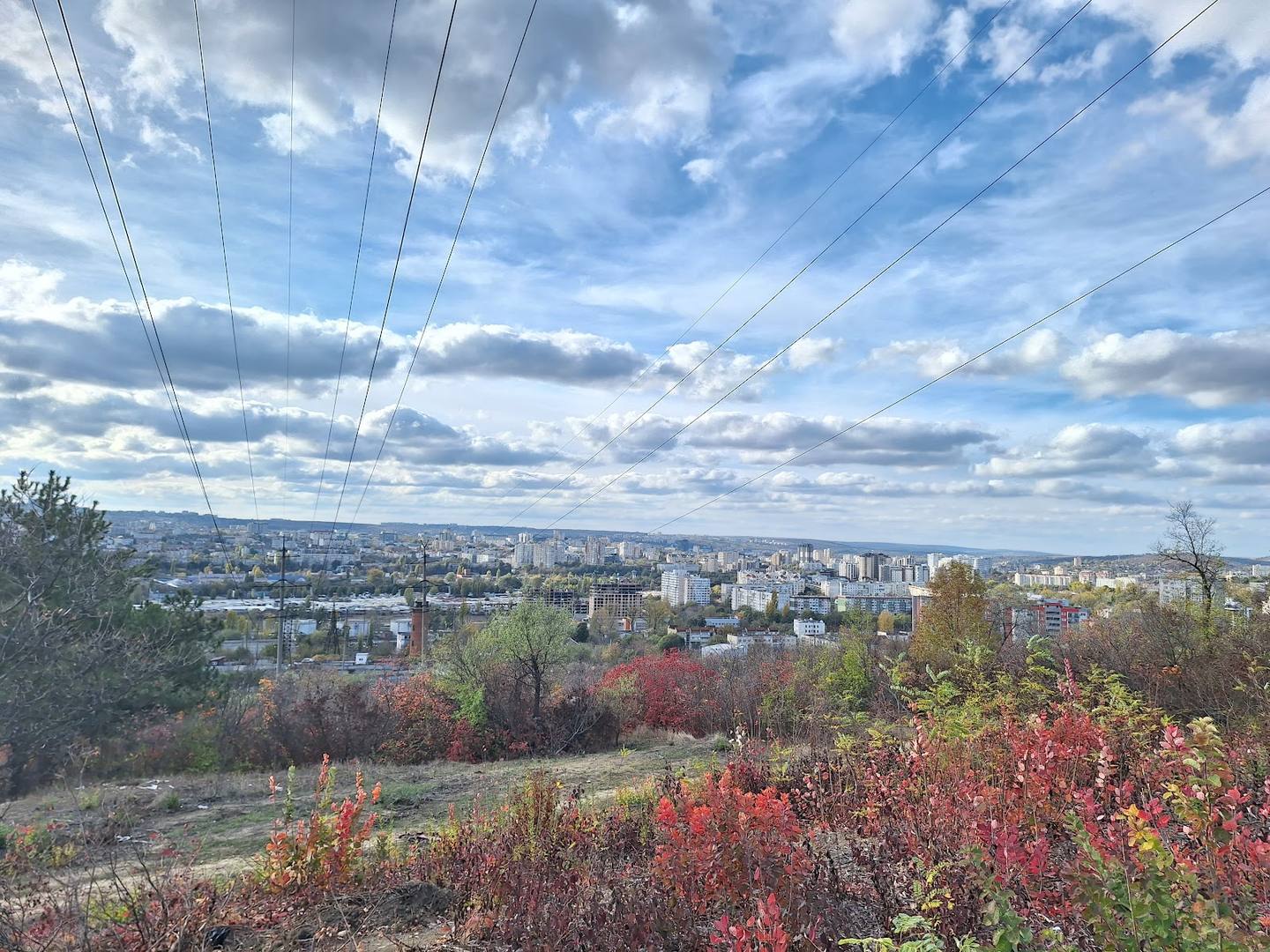 Panoramic overlook of Chișinău cityscape with autumn vegetation in foreground