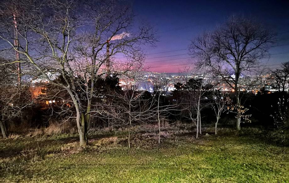 Twilight view over parkland with scattered trees and distant cityscape