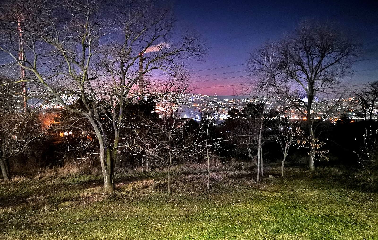 Twilight view over parkland with scattered trees and distant cityscape