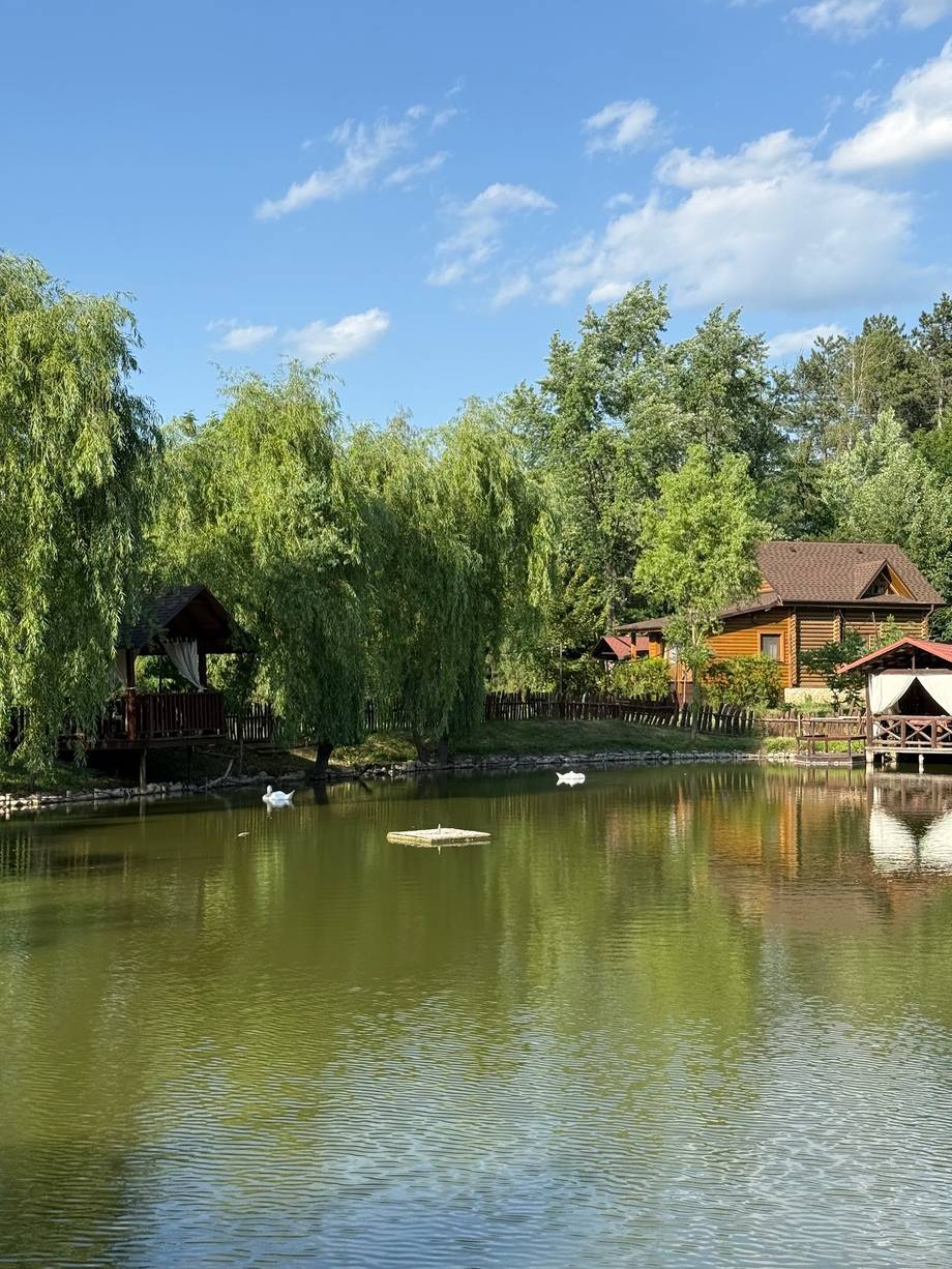 Waterfront venue with wooden lodge buildings, willow trees, and boat docks overlooking calm water