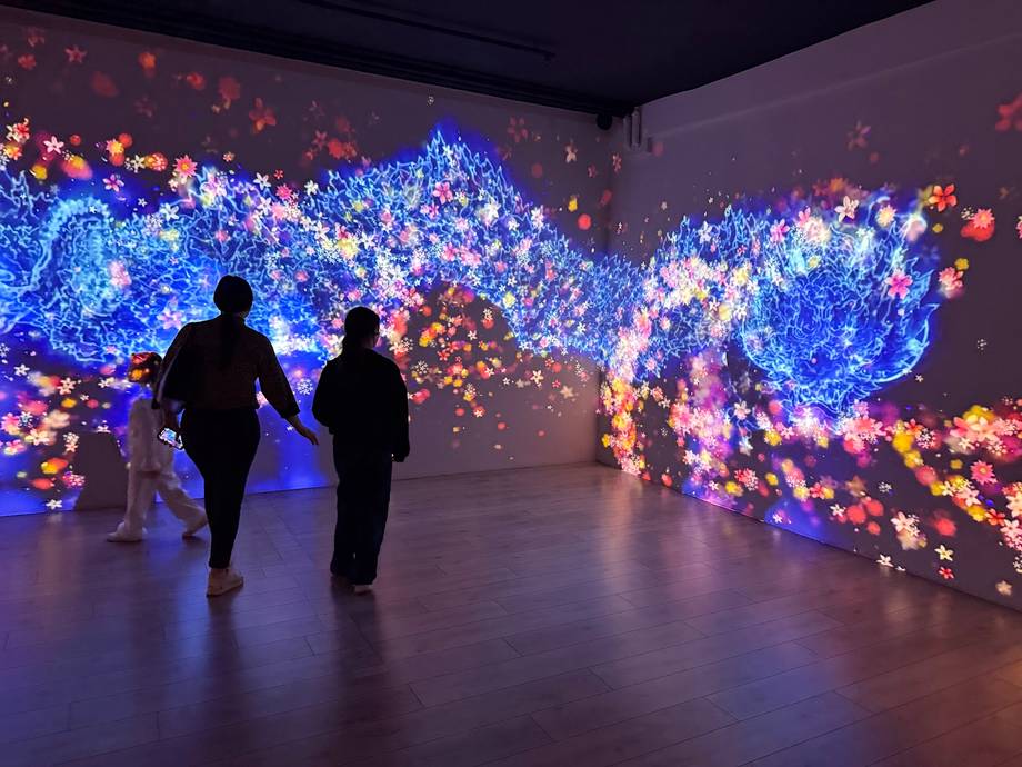 Sensorica · Immersive Experience Museum - Art museum in Centru (photo 2)