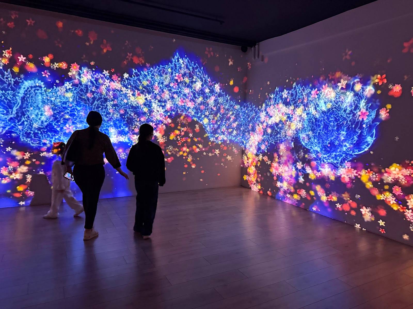 Sensorica · Immersive Experience Museum - Art museum in Centru (photo 2)