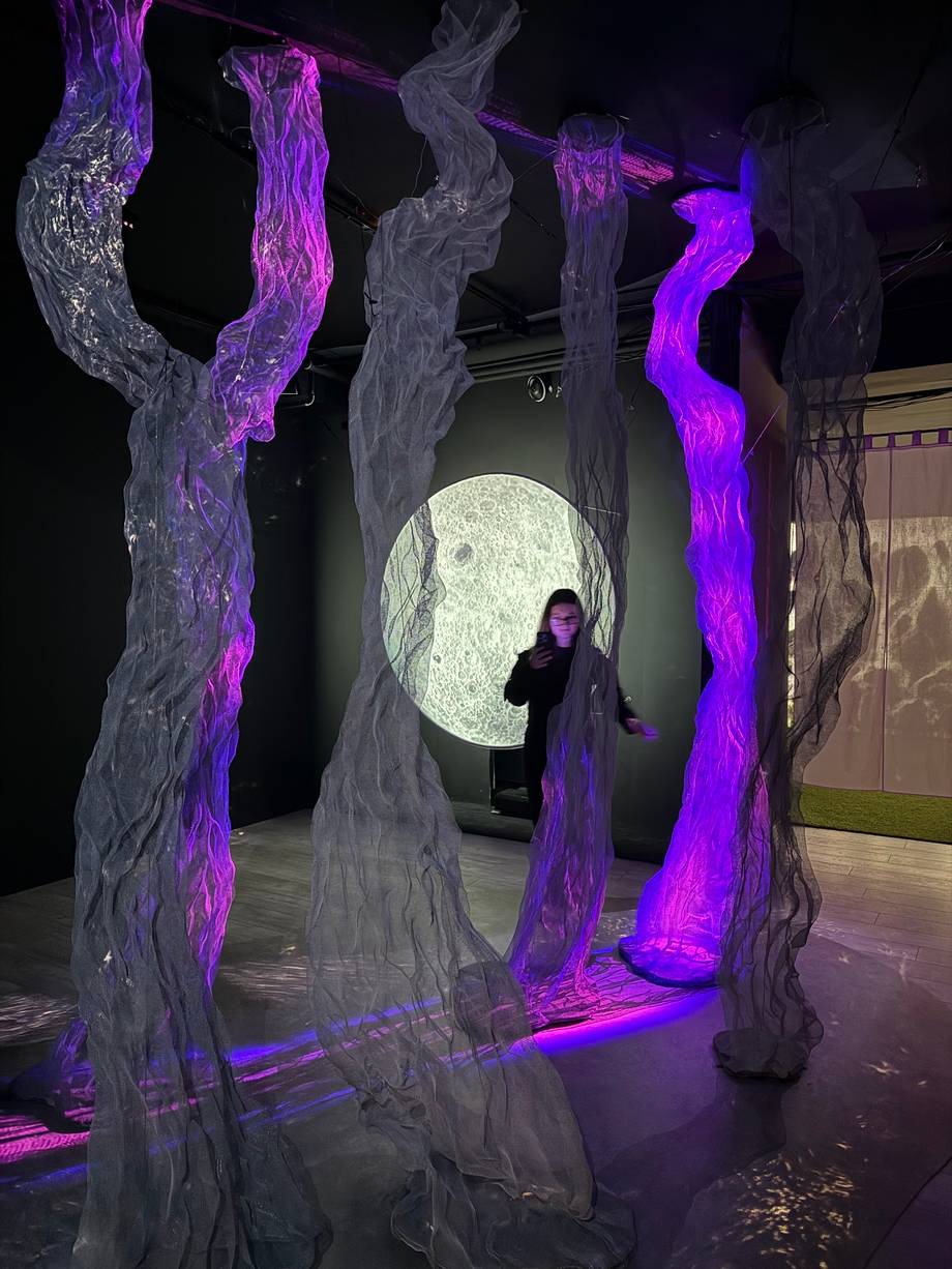Sensorica · Immersive Experience Museum - Art museum in Centru (photo 5)