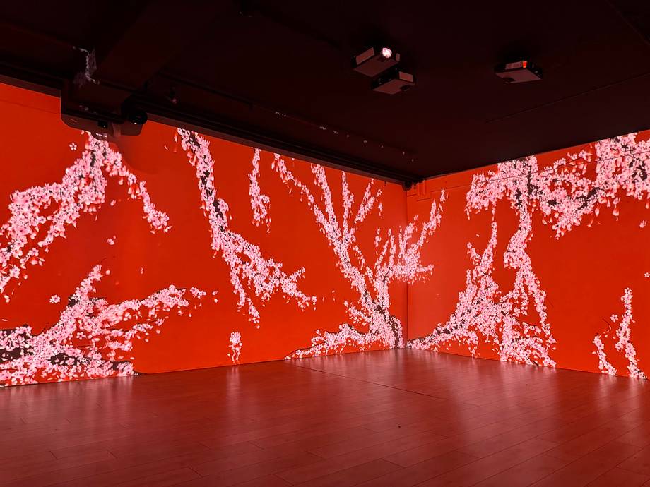 Sensorica · Immersive Experience Museum - Art museum in Centru (photo 6)