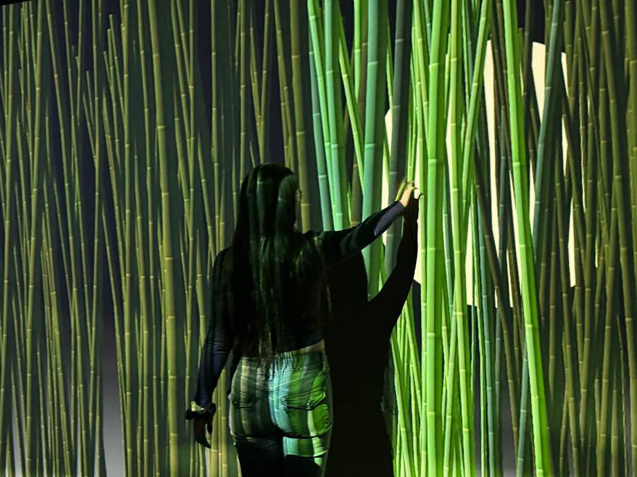Sensorica · Immersive Experience Museum - Art museum in Centru (photo 7)
