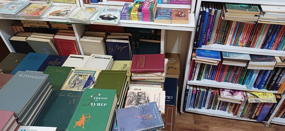Library or bookstore shelving with colorful volumes and educational materials