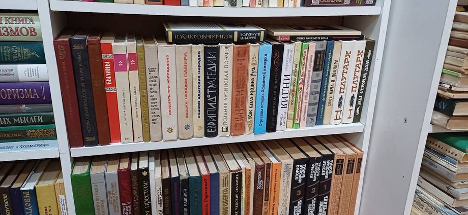 Bookshelf with organized collection of novels and literature volumes