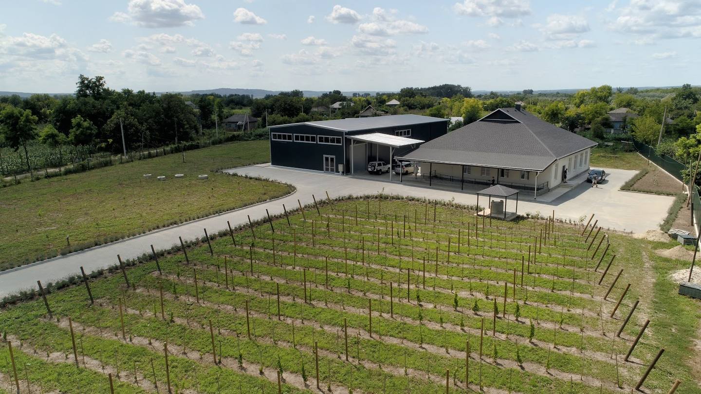 Aerial view of vineyard rows with winery building and open grounds