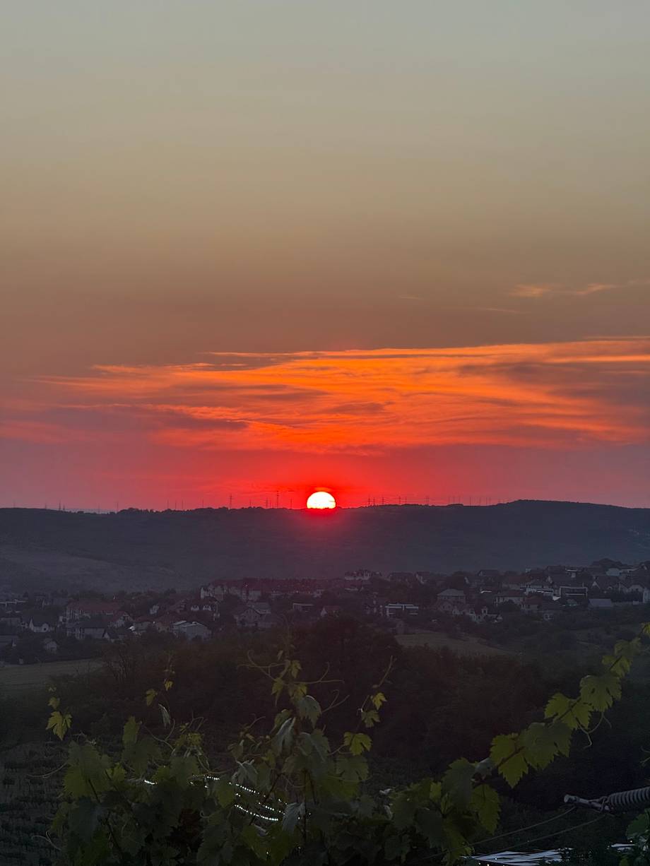 Sunset over rolling Moldovan hills with vineyards in foreground