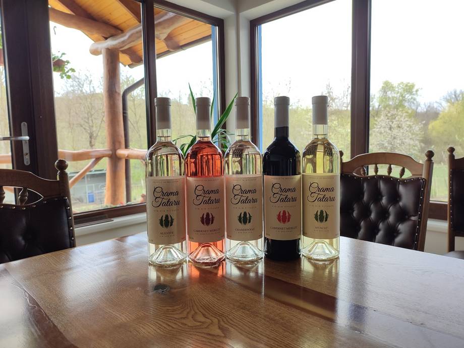 Wine bottles displayed on wooden table with panoramic windows and vineyard views