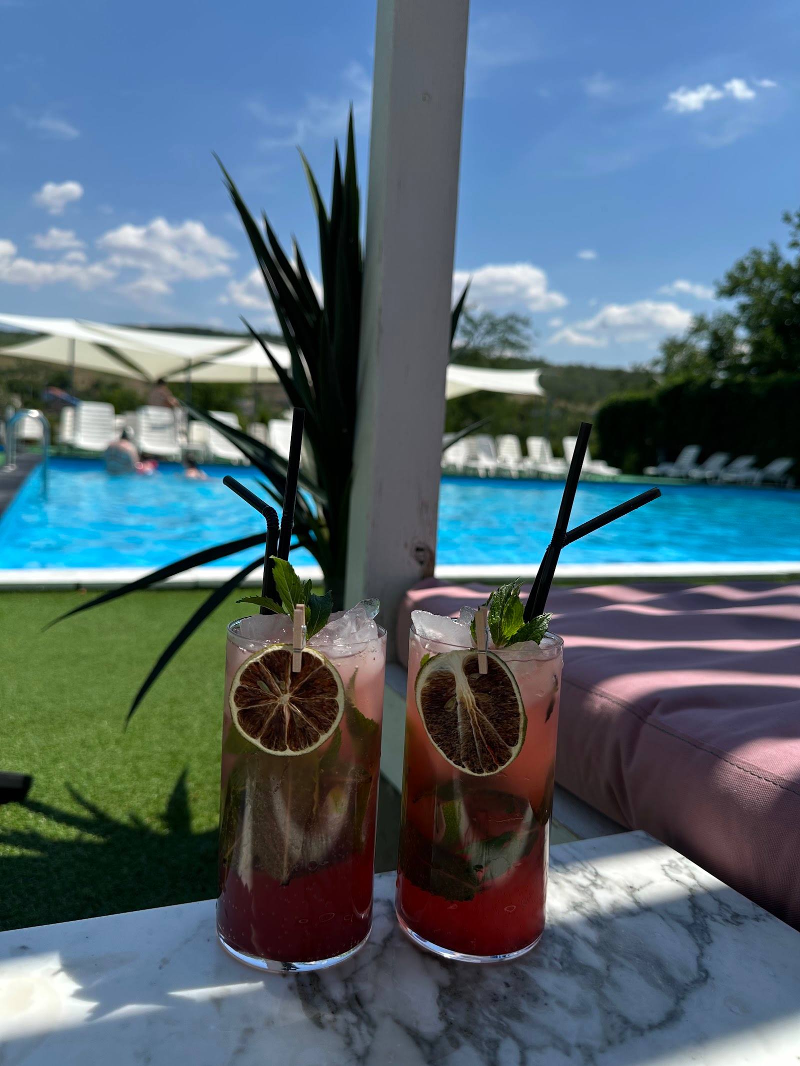 Signature cocktails poolside with fresh citrus garnish and black decorative foliage
