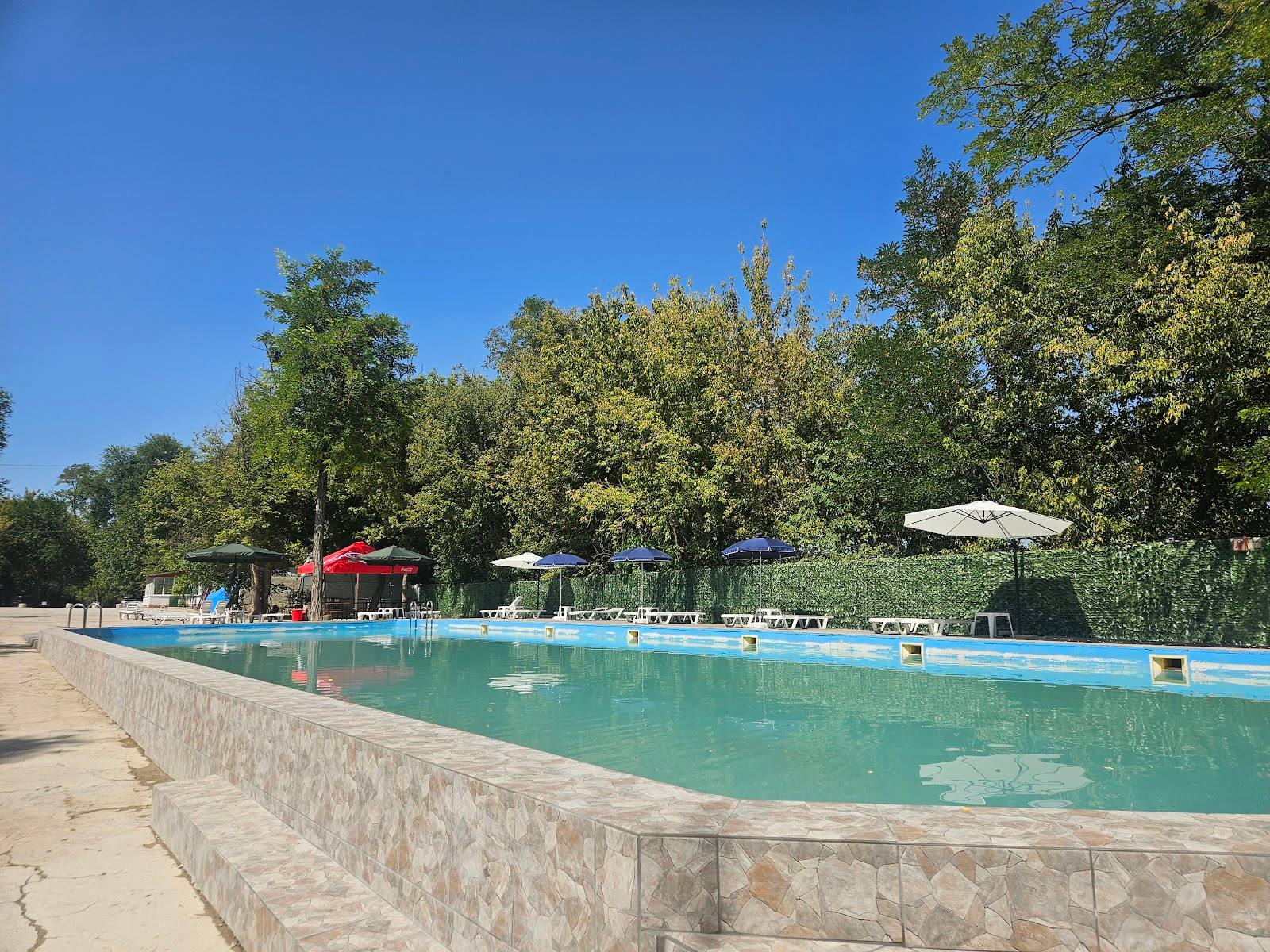Outdoor swimming pool with clear turquoise water and tree-lined surroundings