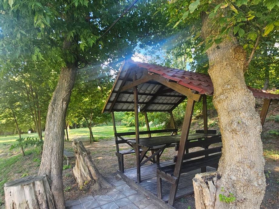 Shaded outdoor seating beneath mature trees in a park setting
