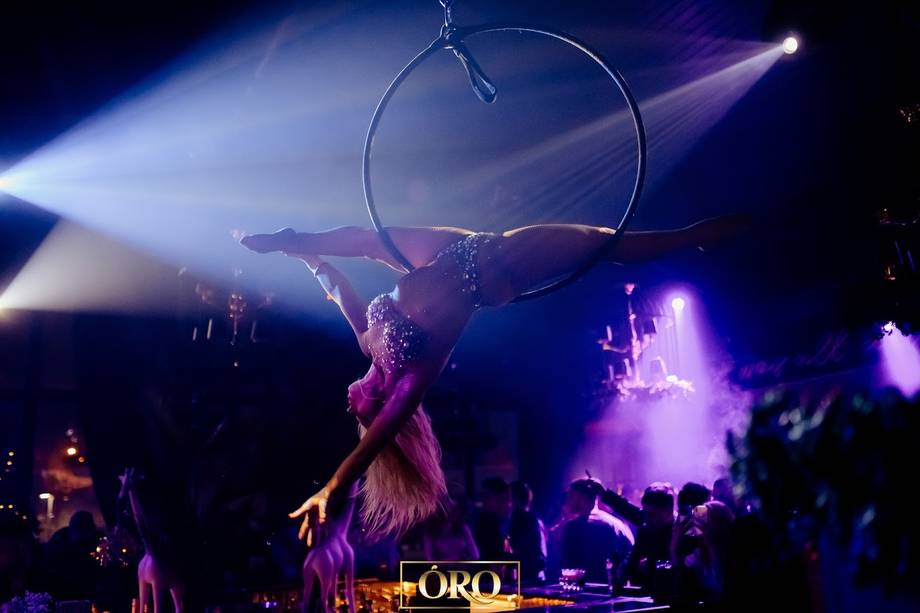 Aerial performer on suspended hoop with purple stage lighting and live band backdrop
