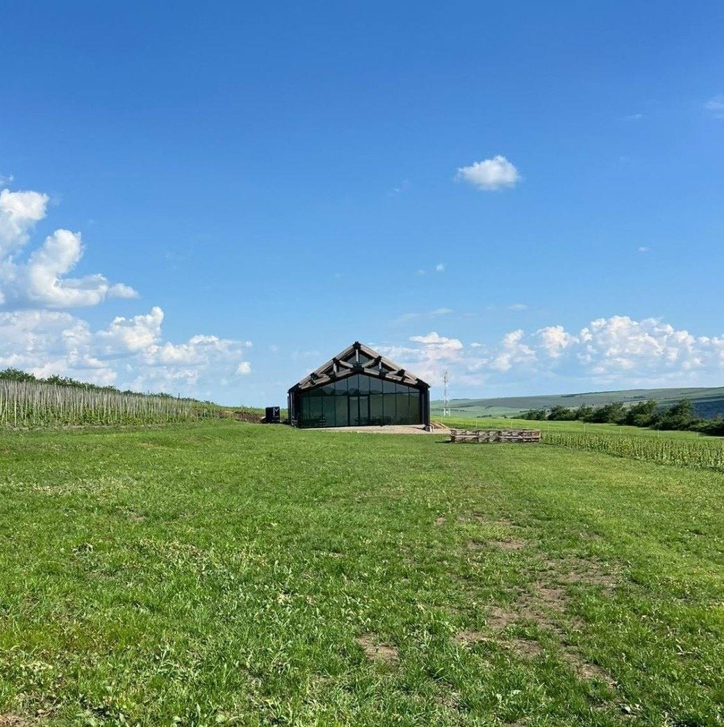 I'm Winery - Бутиковые винодельни, Boșcana (фото 1)