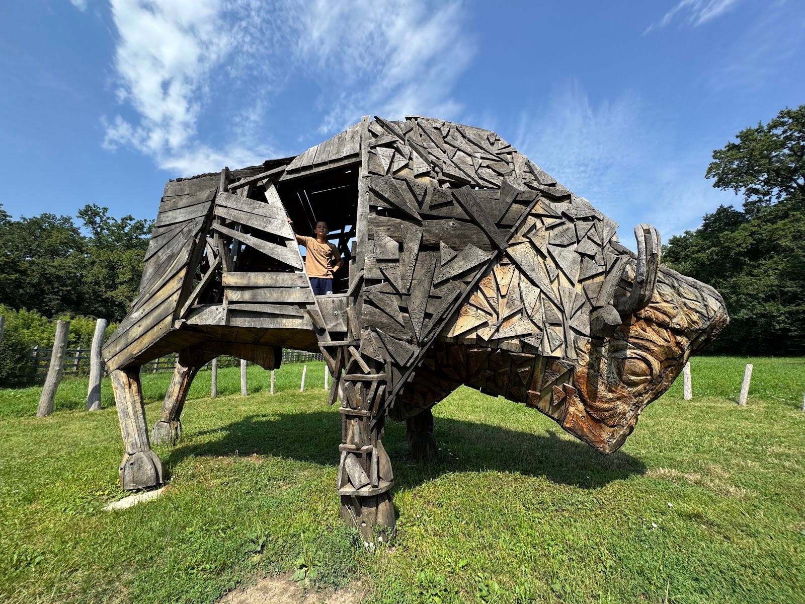 Wooden bull sculpture art installation in an open field setting