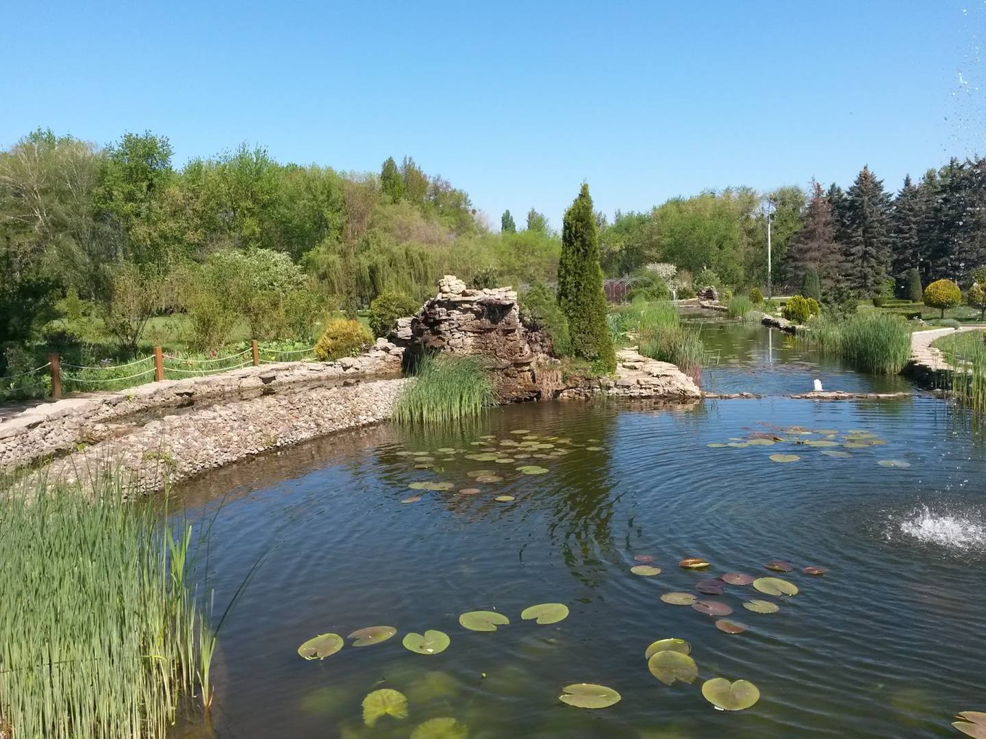 Scenic pond with lily pads, native landscaping, and clear sky view of the grounds