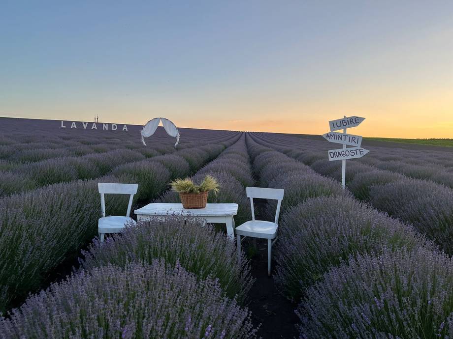 Lavender field experience at sunset with branded glamping pod and dining setup
