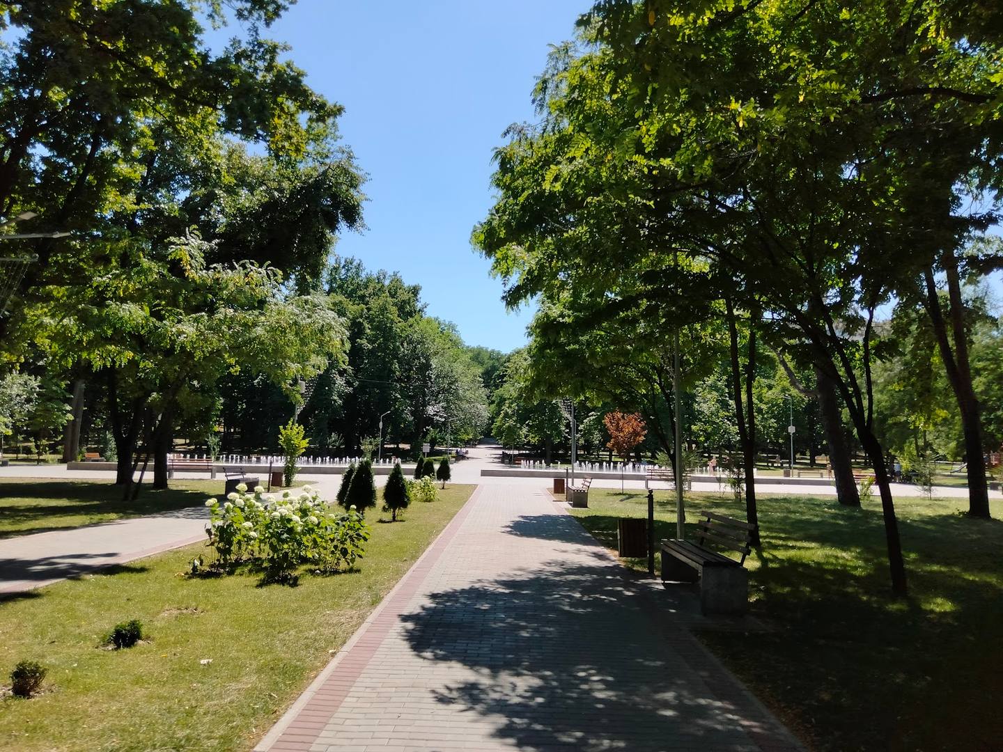 Manicured park with tree-lined pathways and sunny day atmosphere