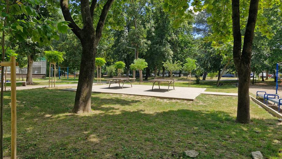 Open-air garden terrace with mature trees, picnic tables, and green lawn
