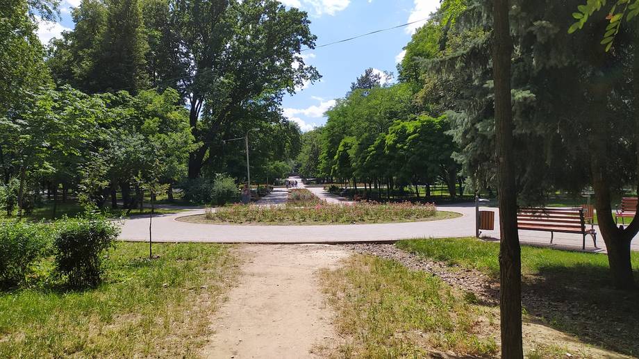 Tree-lined park pathway with gravel surface and manicured grounds