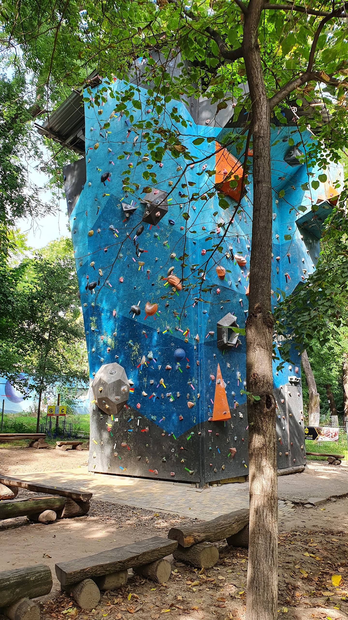Outdoor rock climbing wall in a park setting with blue climbing face and wooden benches