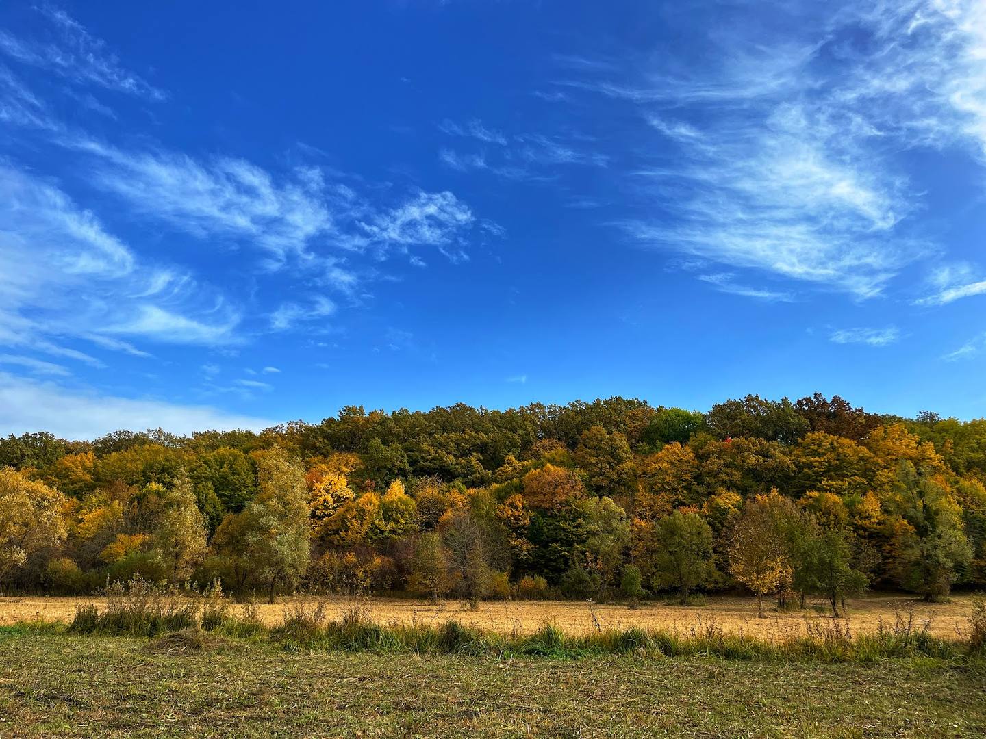 Autumn landscape with wooded hillside and open field under blue sky