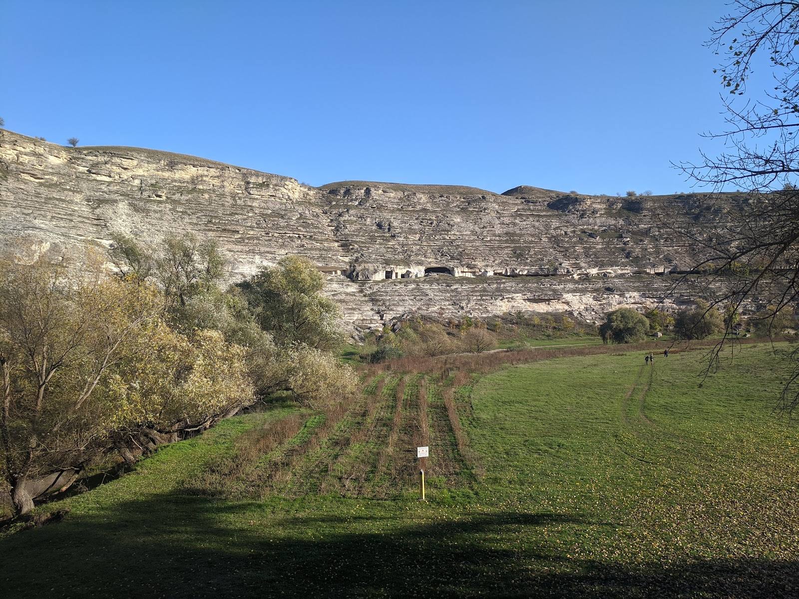 Terraced vineyard rows in green hillside landscape with stone structures